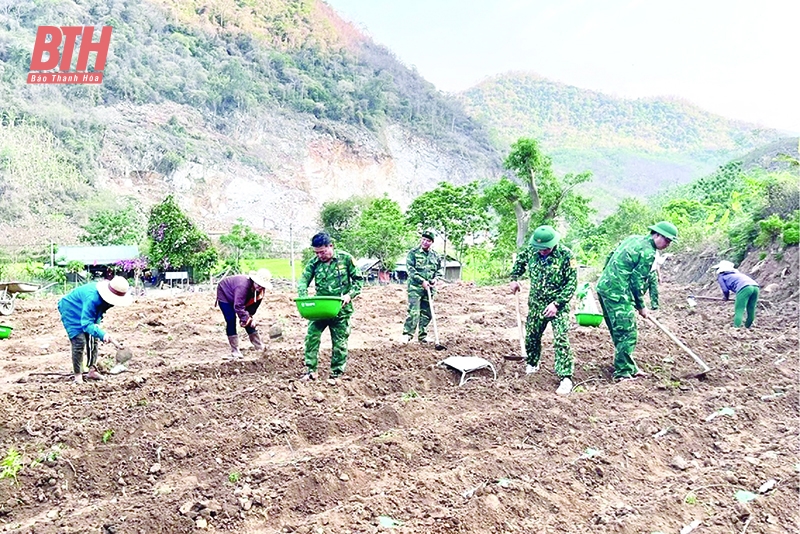 “Cuộc chiến” diệt trừ “con ma” lá ngón