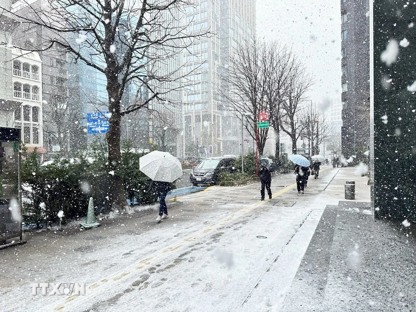 Nhật Bản: Tuyết rơi trái mùa ở Tokyo, cảnh báo thời tiết bất ổn