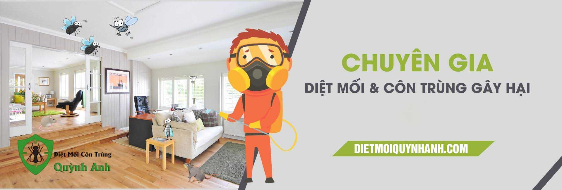 Diệt mối Quỳnh Anh - Đơn vị cung cấp dịch vụ diệt mối chuyên nghiệp