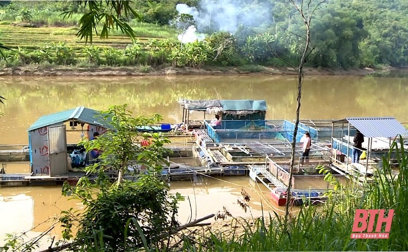 nhà cái m88 bè trên lòng hồ thuỷ điện Trung Xuân
