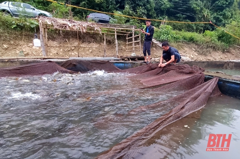 nhà cái m88 bè trên lòng hồ thuỷ điện Trung Xuân
