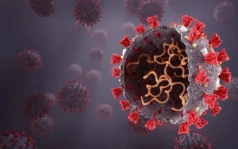 Phát hiện mới mở ra hy vọng trong cuộc chiến chống virus SARS‐CoV‐2