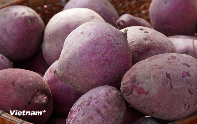 Những loại thực phẩm giúp chị em nói lời tạm biệt với làn da khô