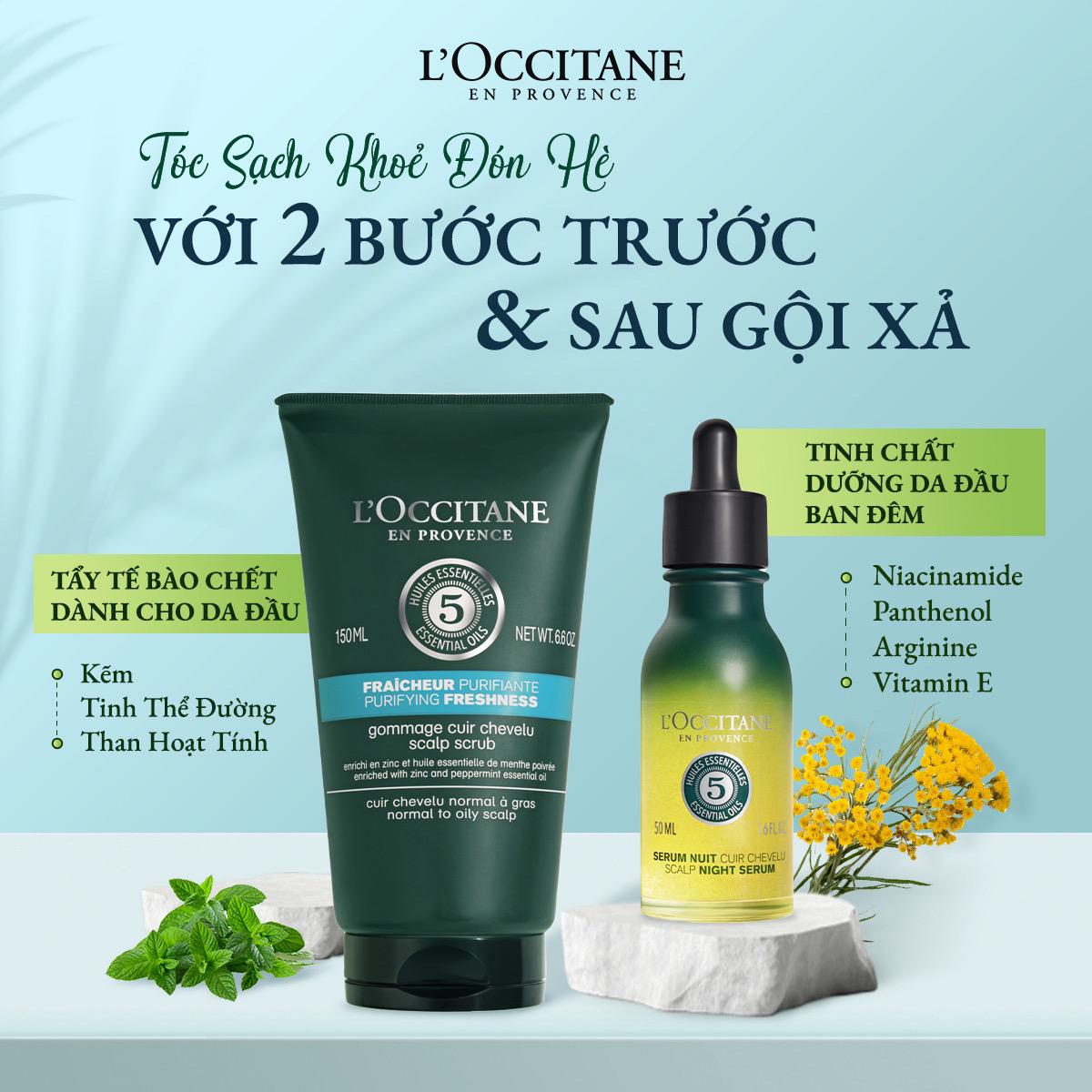 2 Bước Trước & Sau Khi Gội Xả Cho m88 the thao Sạch Khỏe Đón Hè