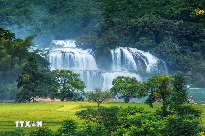 Tổng Bí thư, Chủ tịch Trung Quốc Tập Cận Bình: Cùng chung chí hướng, chung tay tiến lên phía trước - Kế thừa quá khứ, viết tiếp trang mới tương lai
