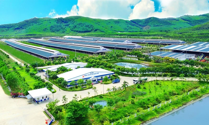 Đổi mới, tự chủ và quyết liệt – Điểm chung trong gần 50 năm phát triển của TP.HCM và Vinamilk