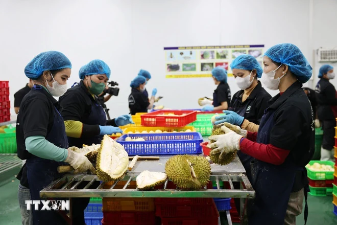 Sáp nhập tỉnh hướng biển: Mở rộng không gian phát triển trục Đông-Tây