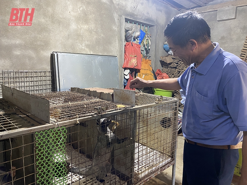 Nhiều mô hình đăng ký m88 hiệu quả