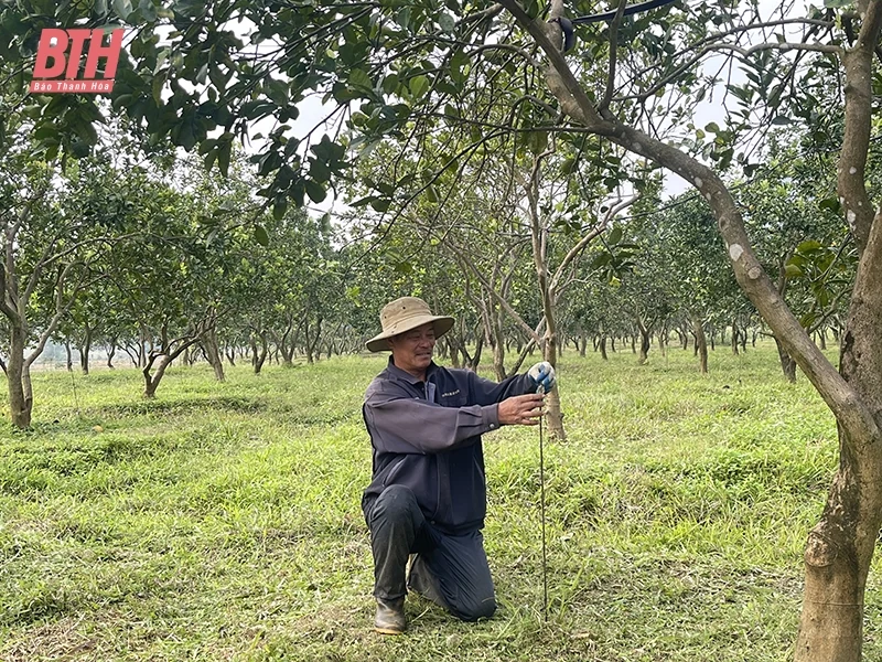 Tối ưu cá cược bóng đá m88 quy trình sản xuất nông nghiệp