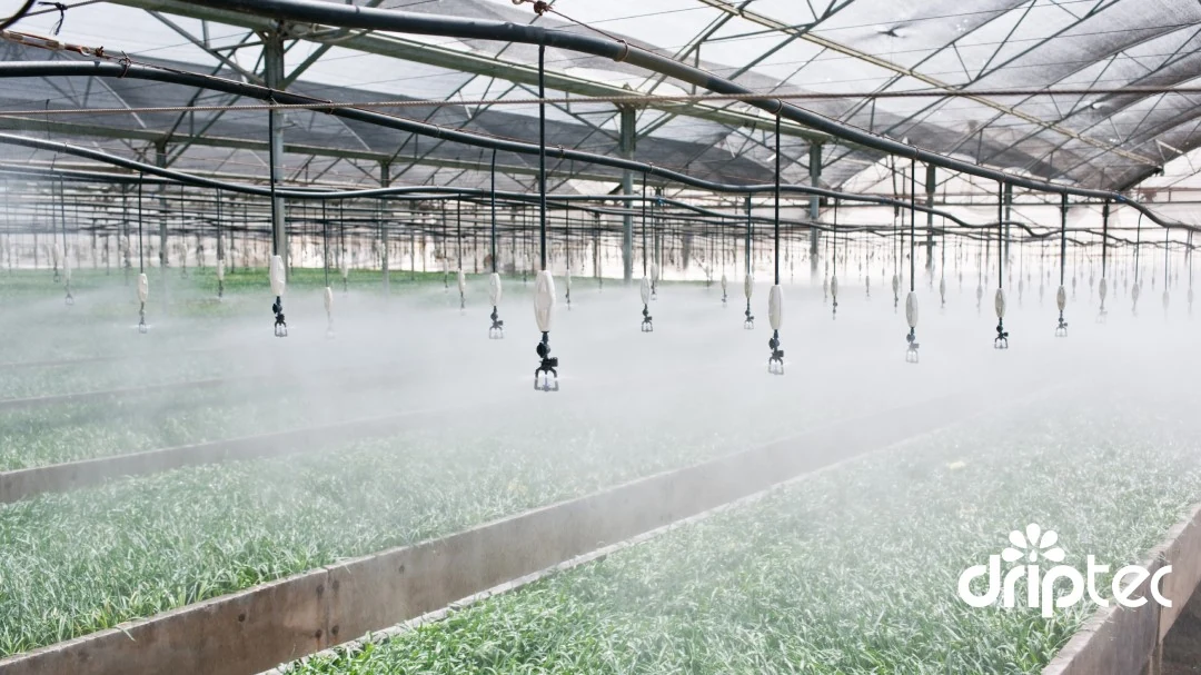 Nhà Bè Agri - Đơn vị chuyên về thiết bị tưới tiêu nông nghiệp