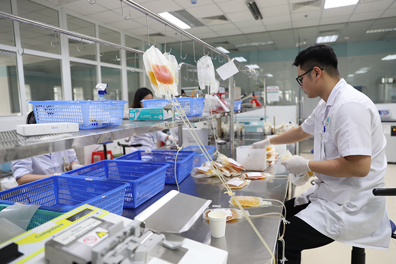 Đạt chuẩn EU-GMP ngân hàng máu - bước tiến trên hành trình hội nhập, chinh phục chất lượng quốc tế