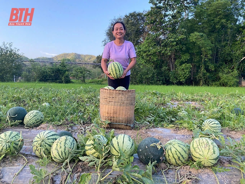 Mường Lát vươn mình: Hành trình thay đổi từ Nghị quyết 11-NQ/TU (Bài 2) - Hoàn thành lời hứa với cố Tổng Bí thư Nguyễn Phú Trọng