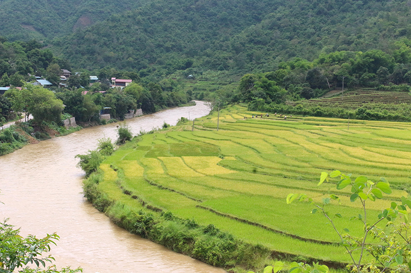 Mường Lát vươn mình: Hành trình thay đổi từ Nghị quyết 11-NQ/TU (Bài 3) - Gỡ “nút thắt”, khơi thông nội lực, bứt phá thoát nghèo bền vững