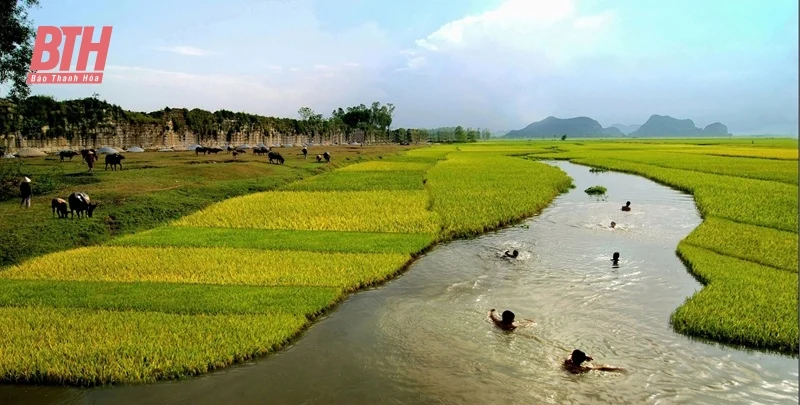 Thành Nhà Hồ trong mắt học giả nước ngoài