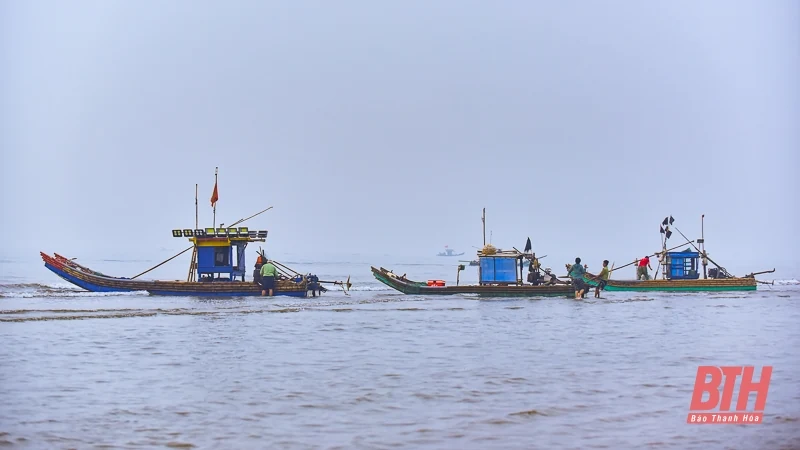 Ngư dân Quảng Xương ra khơi “săn” lộc biển dịp nghỉ lễ 30/4