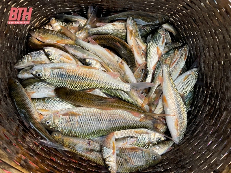 “Khúc suối thân thiện” gắn kết cộng đồng dân bản