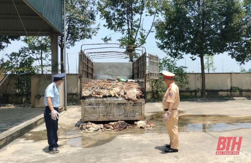Tiêu hủy gần 5 tấn da trâu, bò m88 cá cược thể thao trực tuyến rõ nguồn gốc, xuất xứ