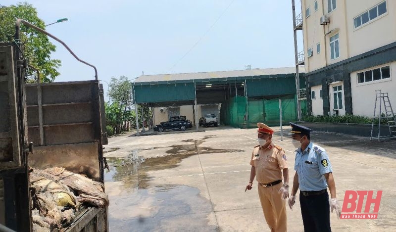 Tiêu hủy gần 5 tấn da trâu, bò m88 cá cược thể thao trực tuyến rõ nguồn gốc, xuất xứ