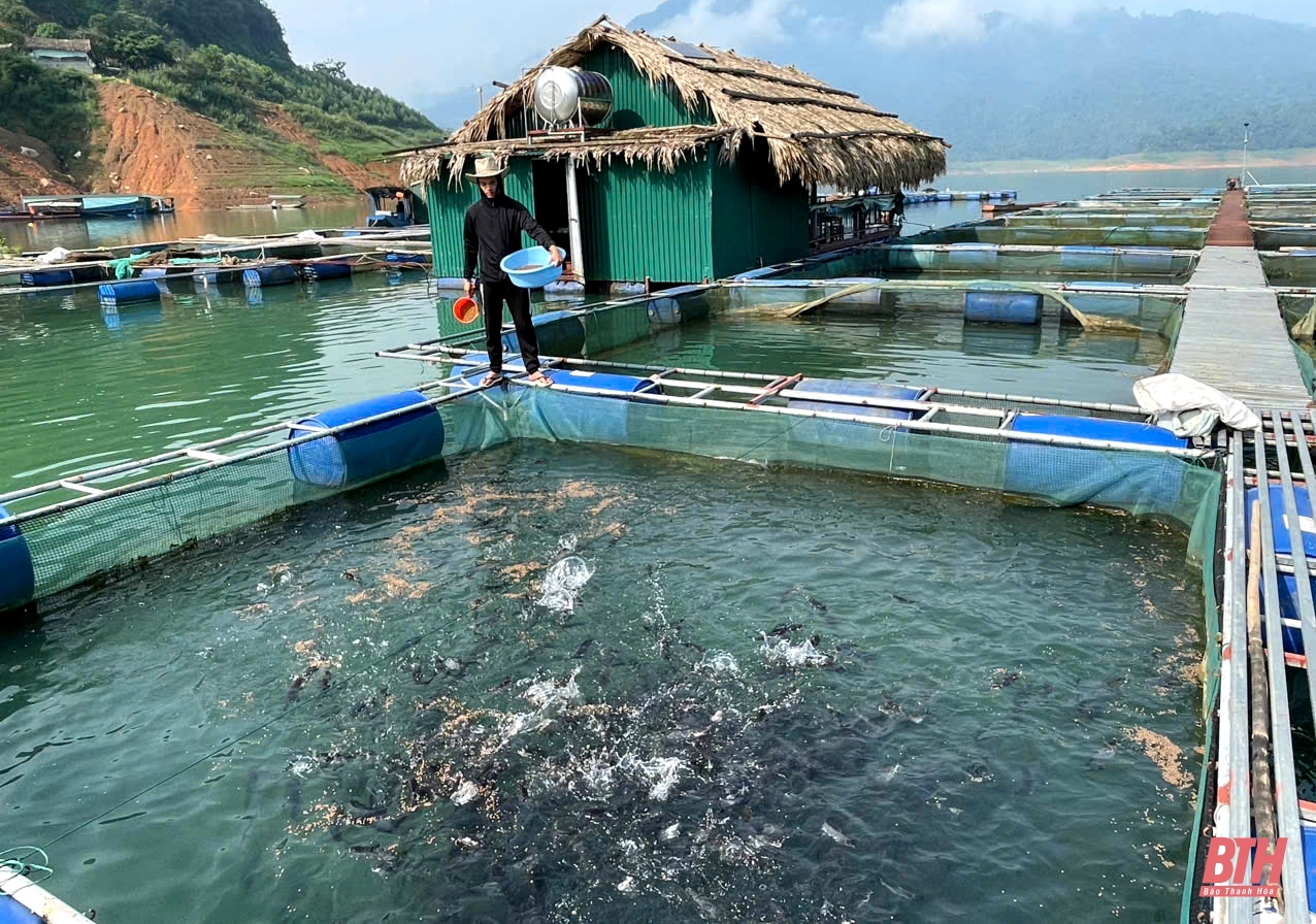 Phát triển nghề m88 cá cược thể thao trực tuyến ở Thường Xuân