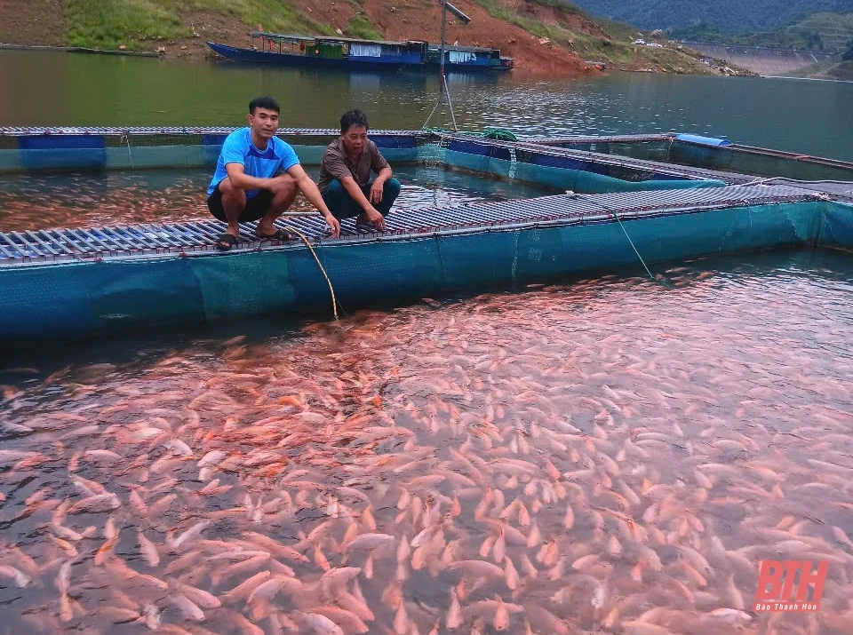 Phát triển nghề m88 cá cược thể thao trực tuyến ở Thường Xuân