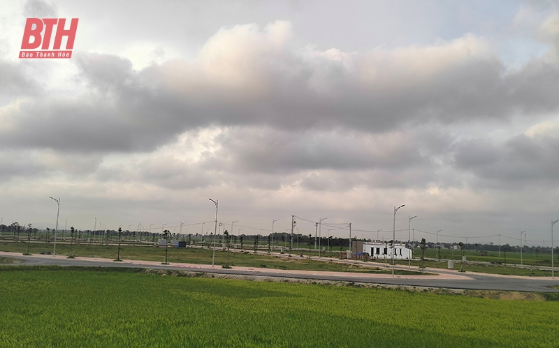 Hài hòa lợi ích ở thị trường bất động sản, chuyện dễ kèo nhà cái m88 khó (Bài 2): Sau trúng đấu giá, đất ở bị bỏ hoang