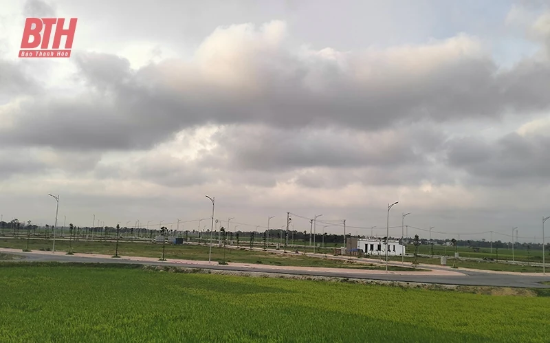Hài hòa lợi ích ở thị trường bất động sản, chuyện dễ kèo nhà cái m88 khó (Bài 2): Sau trúng đấu giá, đất ở bị bỏ hoang