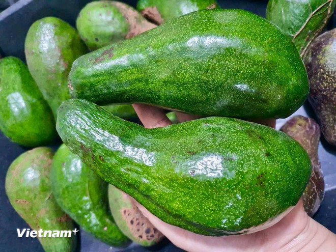 Những loại trái cây người bệnh mỡ máu nên ăn hằng ngày