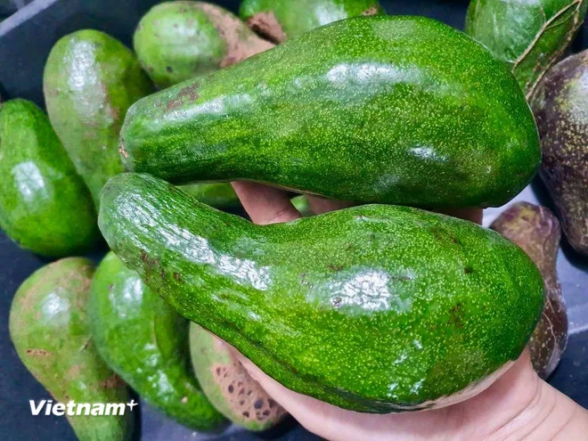 cá cược bóng đá m88 loại trái cây người bệnh mỡ máu nên ăn hằng ngày