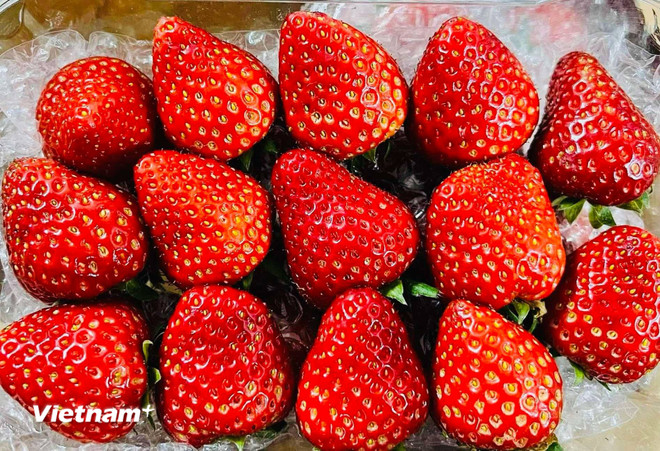 Những loại trái cây người bệnh mỡ máu nên ăn hằng ngày