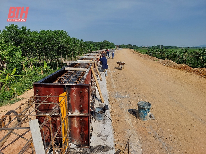 Gấp rút tu bổ các điểm xung yếu đê điều phục vụ phòng, chống lụt bão