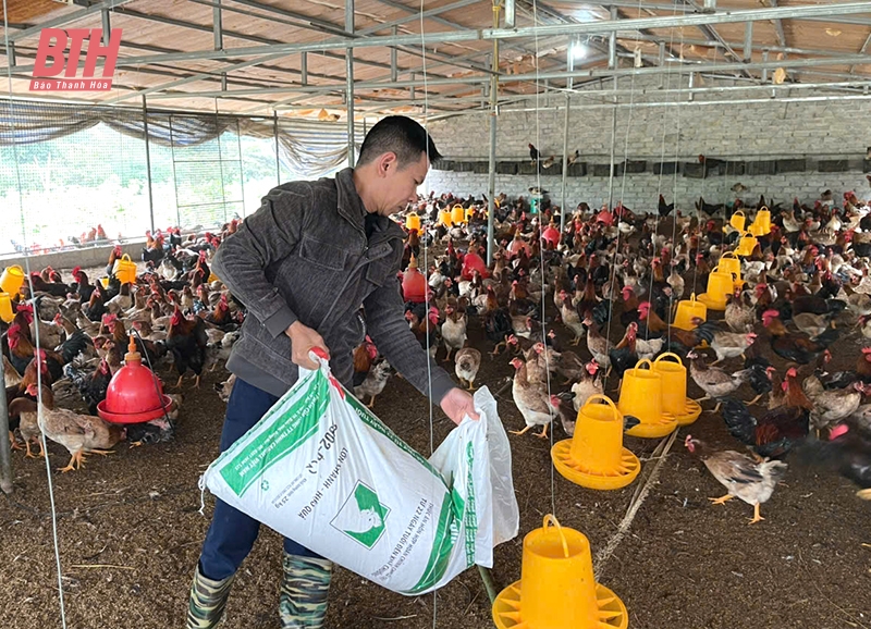 Xã Mậu Lâm đẩy mạnh phát triển m88 trang chủ tế, nâng cao thu nhập cho người dân