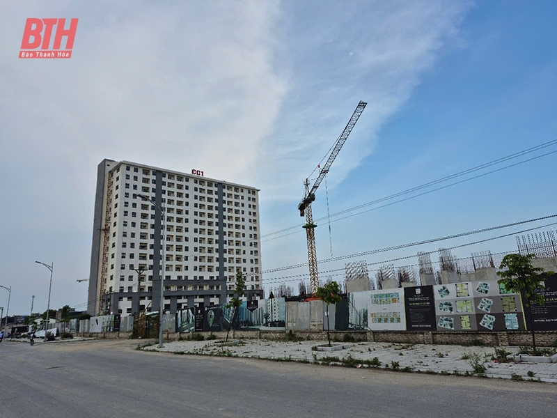 Giấc mơ an cư đang hiện thực m88 cá cược thể thao trực tuyến