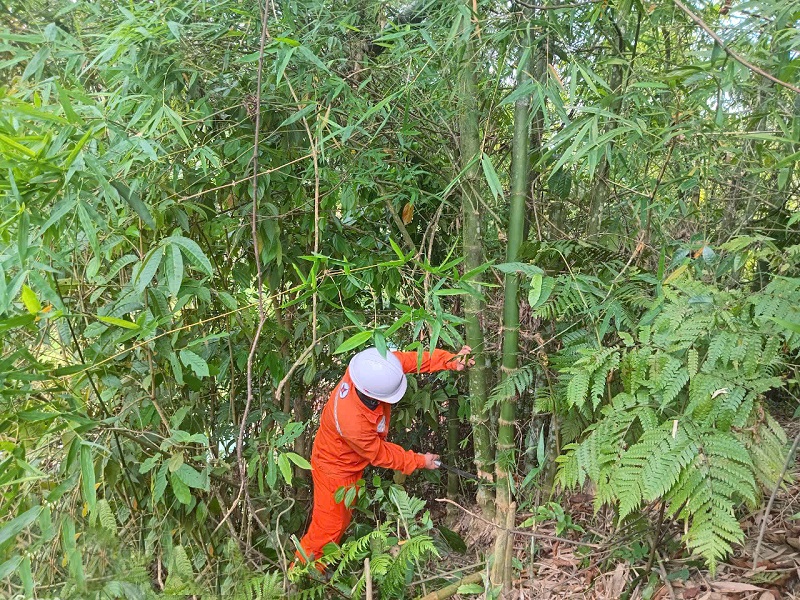 Điện lực Quan Hóa triển khai các giải pháp, bảo đảm cấp điện ổn định, an toàn trên địa bàn