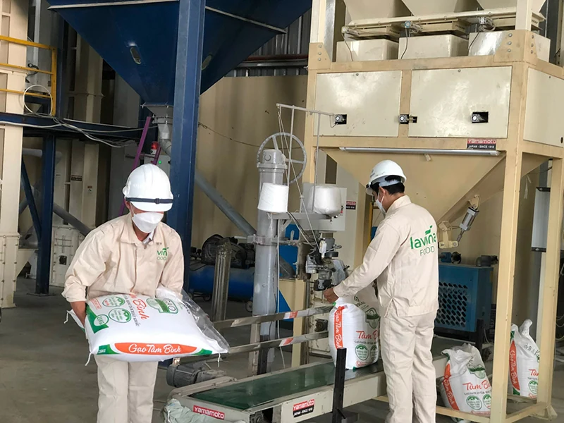 Kích cầu thị trường trong nước khi link đăng nhập m88 gặp khó