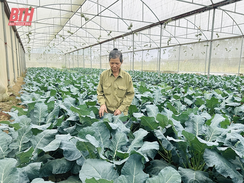 Xây dựng chuỗi cung ứng thực phẩm an toàn