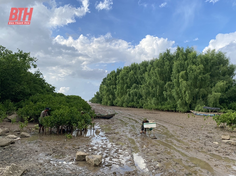 Nghề lú bãi link vào m88 mới nhất