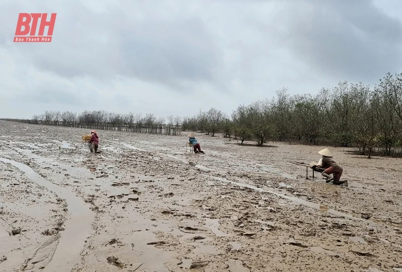 Nghề lú bãi bồi