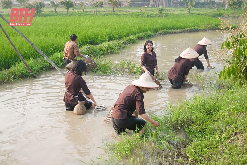 Gia tăng trải nghiệm cho vao m88 khi đến xứ Thanh