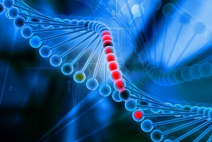 Bệnh nhân đầu tiên được điều trị bằng kỹ thuật chỉnh sửa gene cá nhân hóa