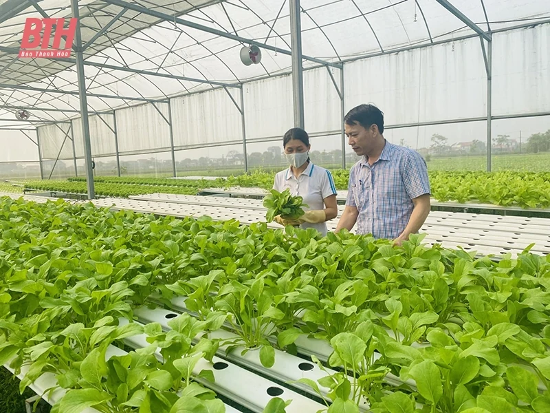 Thu hút dang nhap m88 gia nhập hợp tác xã