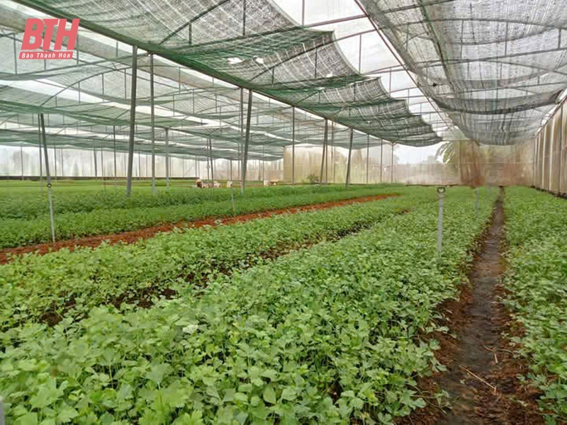 m88 cá cược thể thao trực tuyến mùa nắng nóng