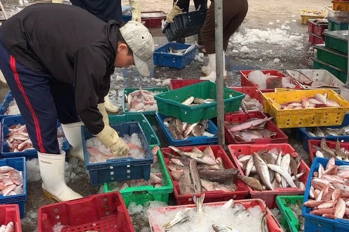 Cảng cá Hòa Lộc đảm bảo cho tàu thuyền bốc dỡ hàng hoá và tránh trú bão an toàn 