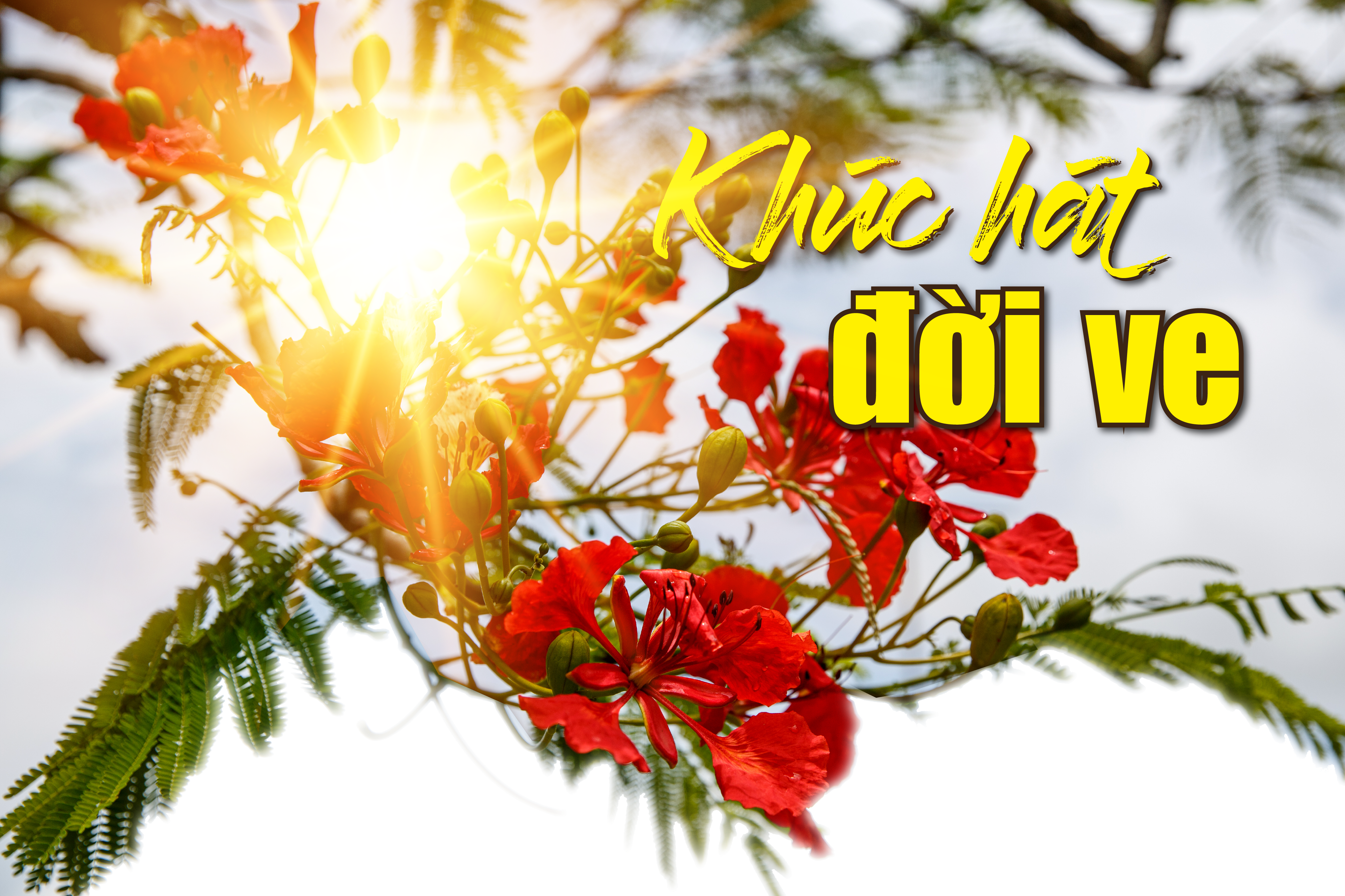 [E - Magazine] - Khúc hát đời ve