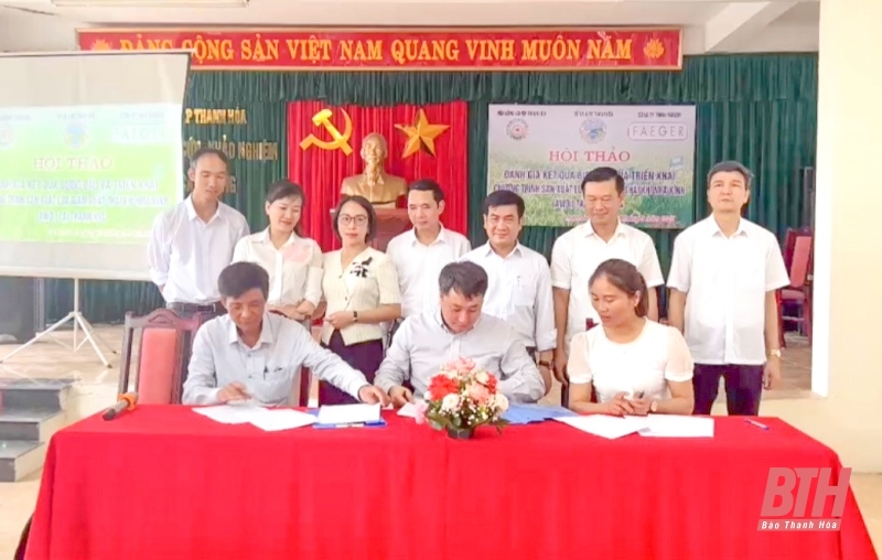Đánh giá kết quả bước đầu và triển khai chương trình sản xuất lúa giảm phát thải nhà kính tại Thanh Hóa