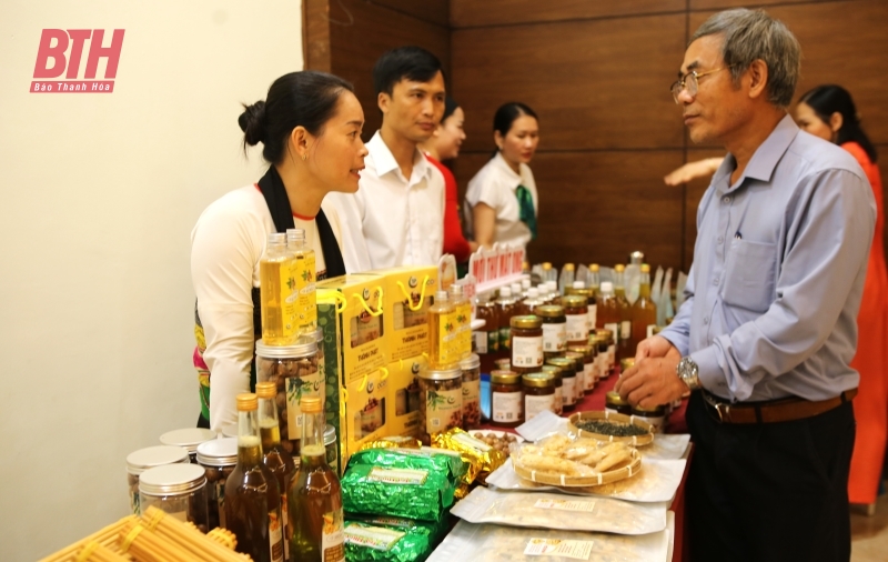 Liên minh HTX Thanh Hóa biểu dương điển hình tiên tiến, giai đoạn 2020-2025