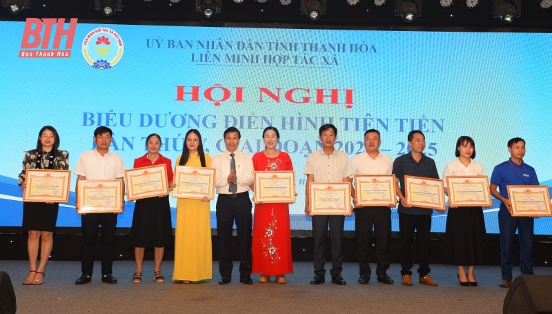 Liên minh HTX Thanh Hóa biểu dương điển hình tiên tiến, giai đoạn 2020-2025