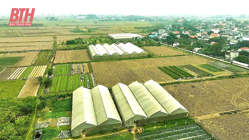 Hiểu đúng về link m88 kết hợp đa mục đích
