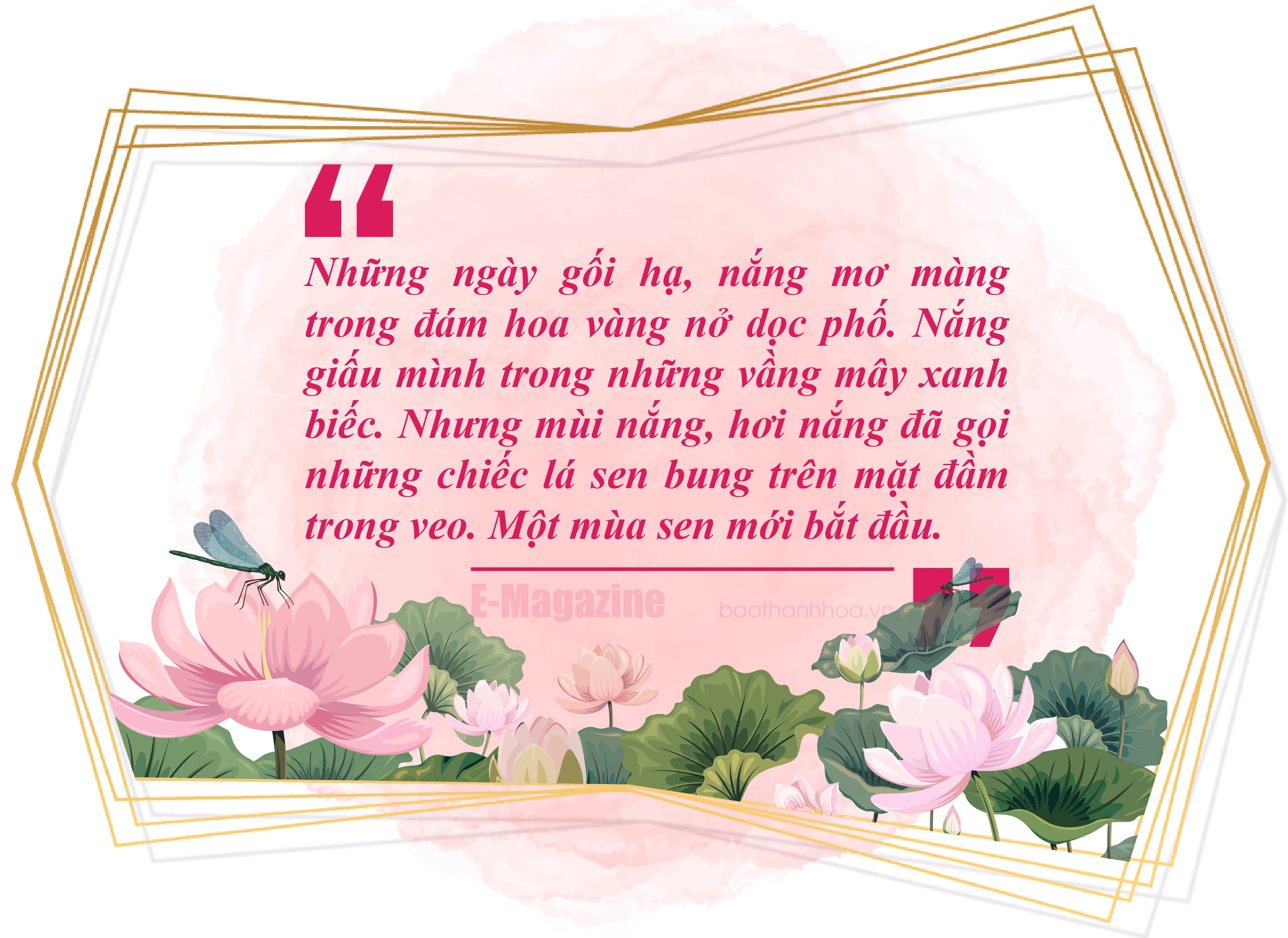 [E-Magazine] - Lấp lánh sen tình