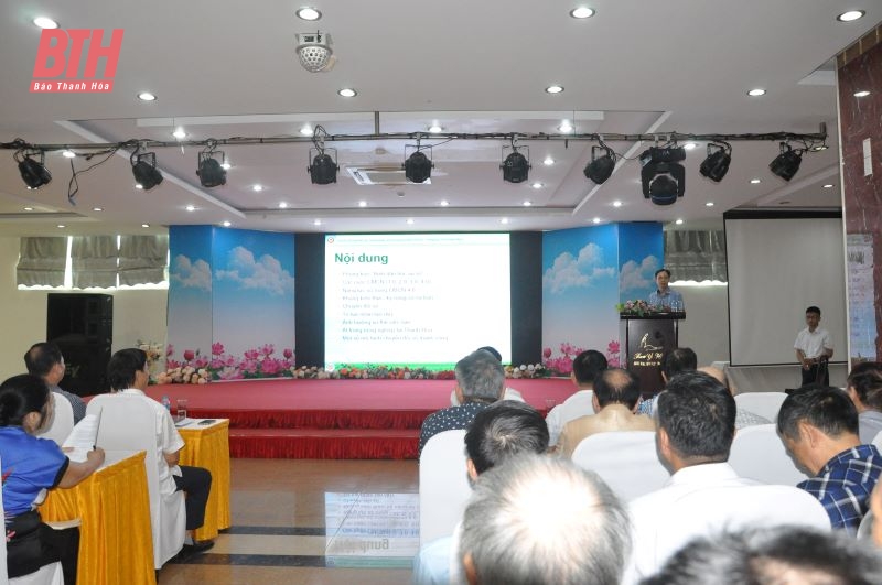 Tập huấn phong trào “Bình dân học vụ số”