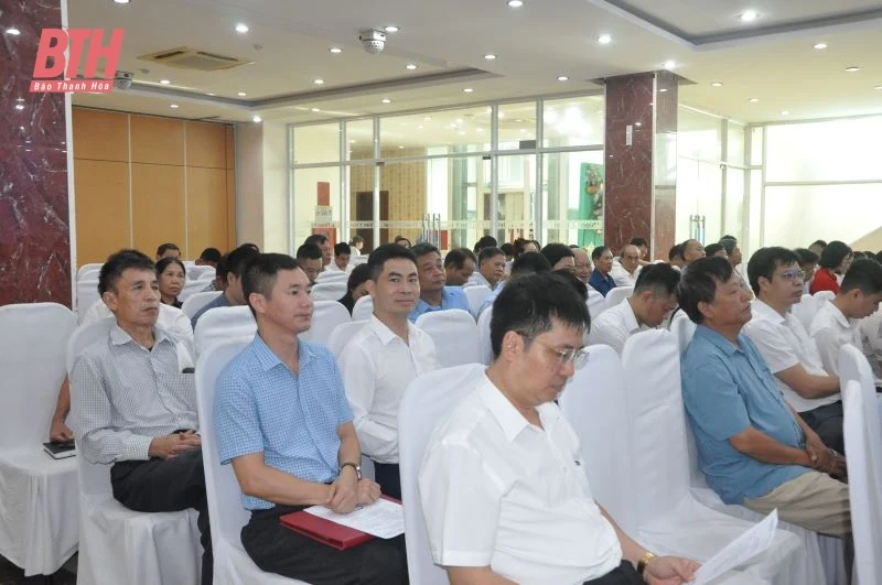 Tập huấn phong trào “Bình dân đăng ký m88 vụ số”